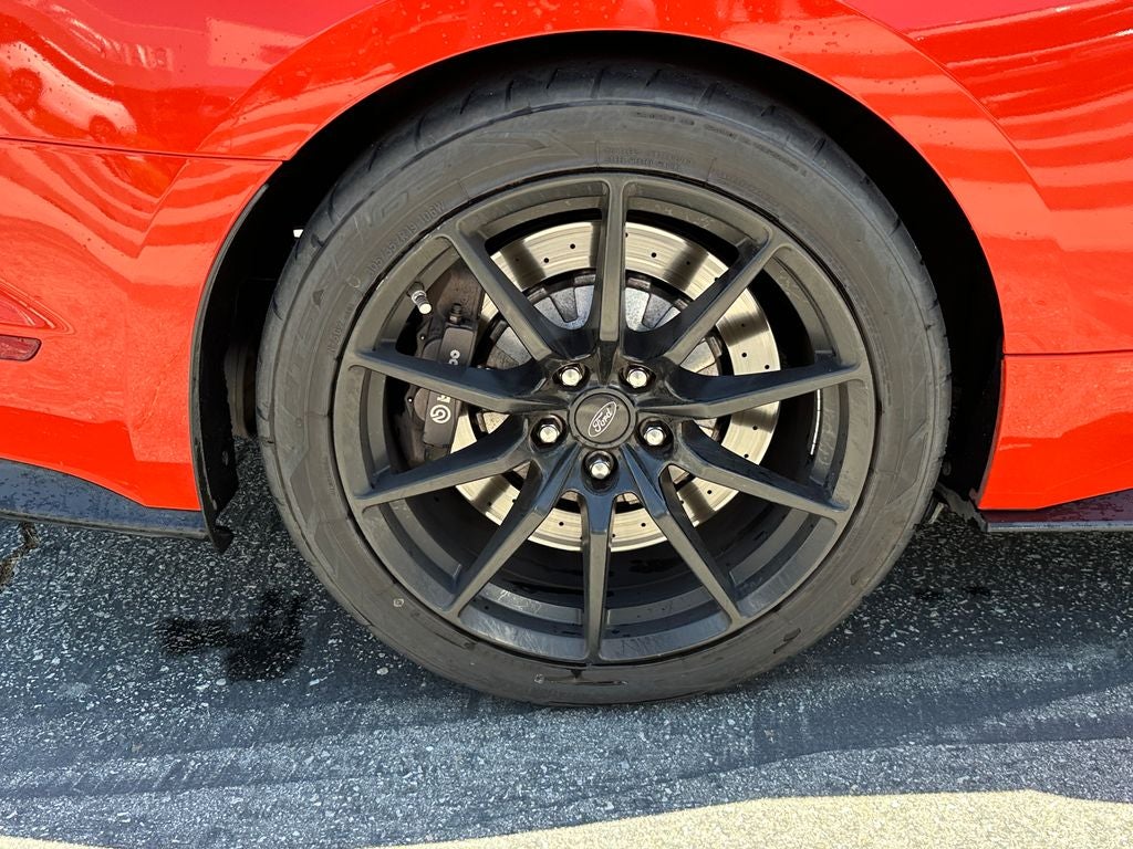 2016 Ford Mustang Shelby GT350 SHELBY